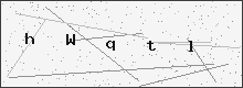 Security verification code